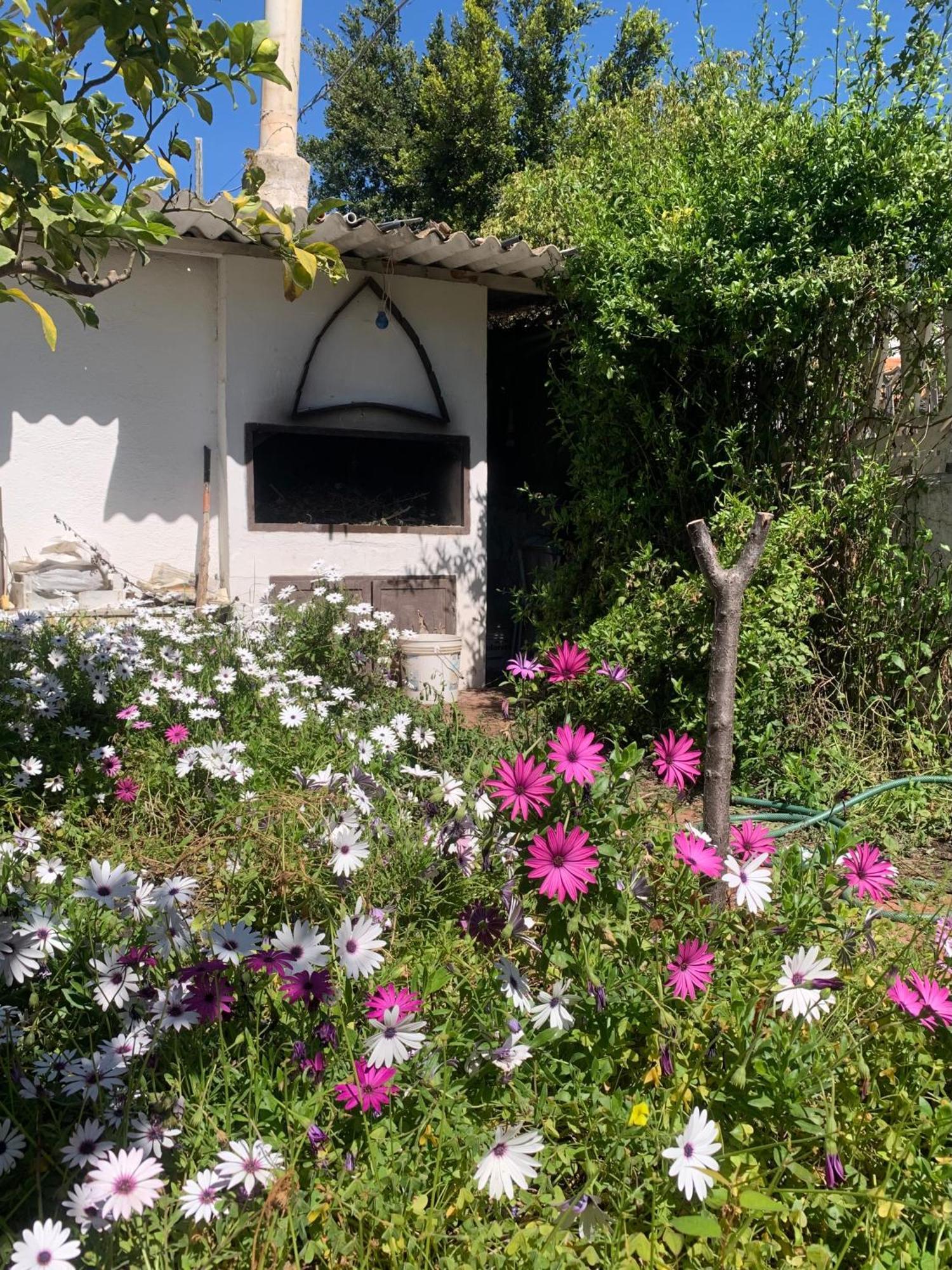 Casa Tranquilla A Pochissimi Passi Dal Mare Villa Sant'Andrea  Kültér fotó